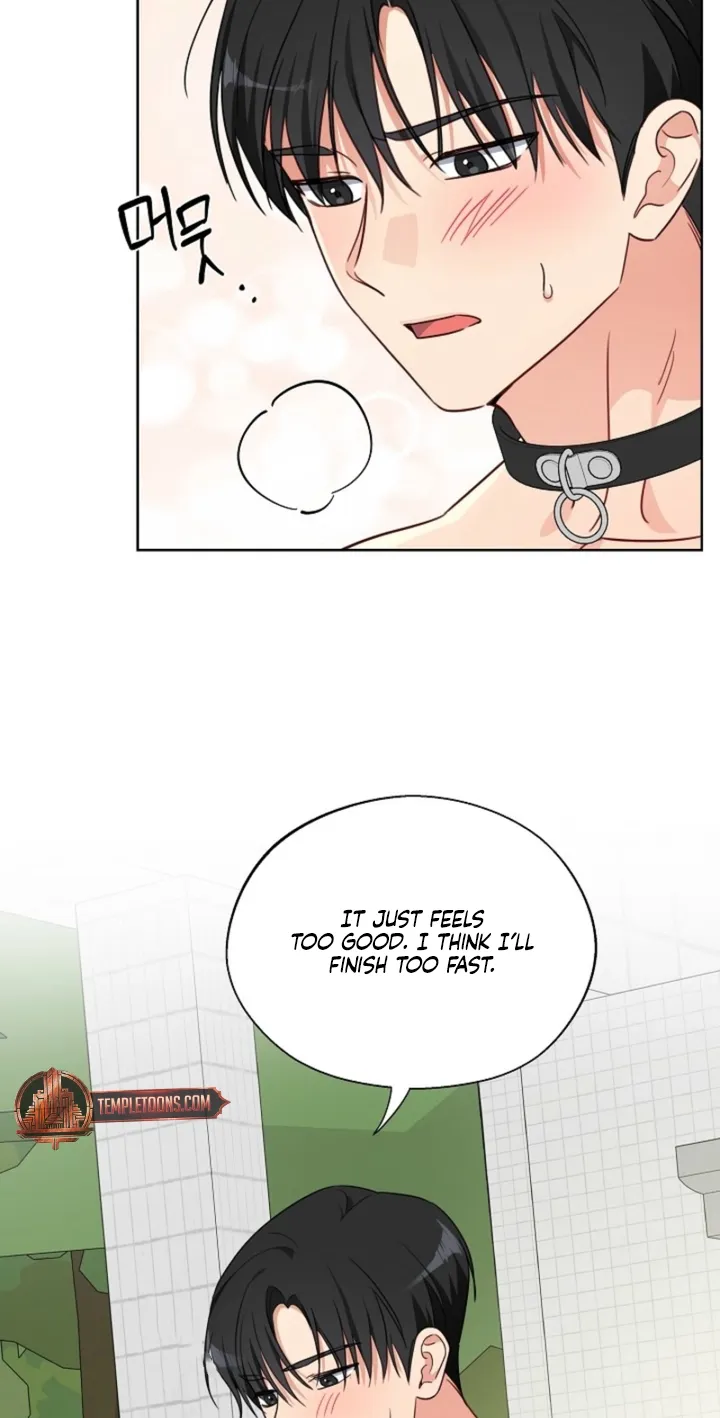 Chapter 5 - Image 30