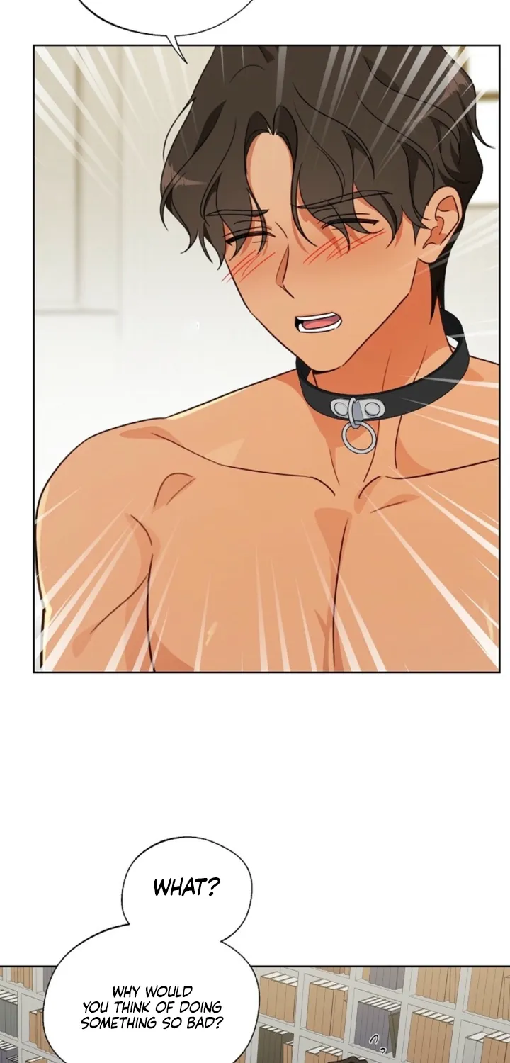 Chapter 5 - Image 48