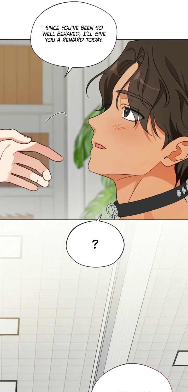 Chapter 5 - Image 59