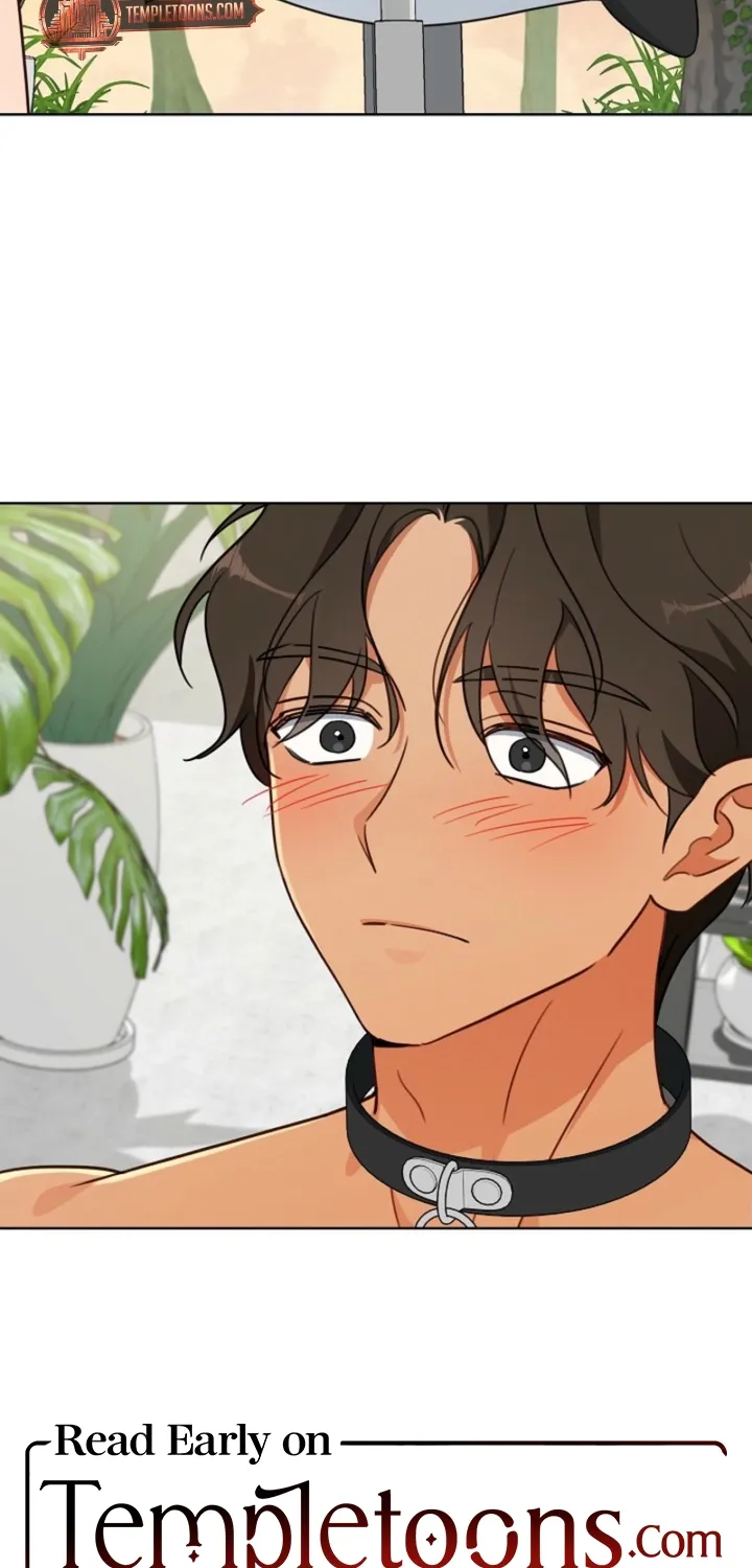 Chapter 5 - Image 61