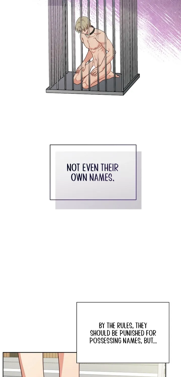 Chapter 6 - Image 32