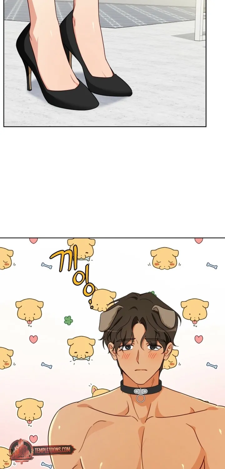 Chapter 6 - Image 33