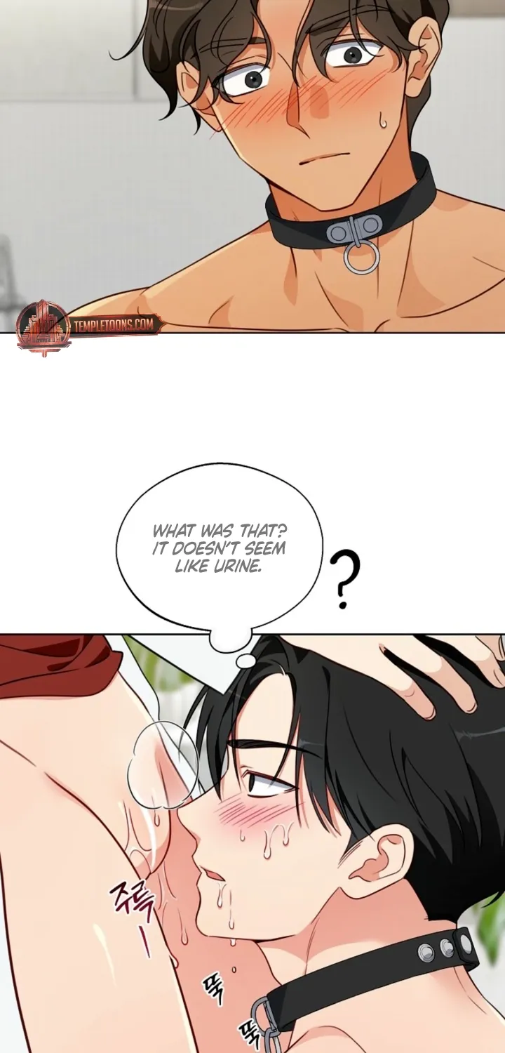 Chapter 7 - Image 31