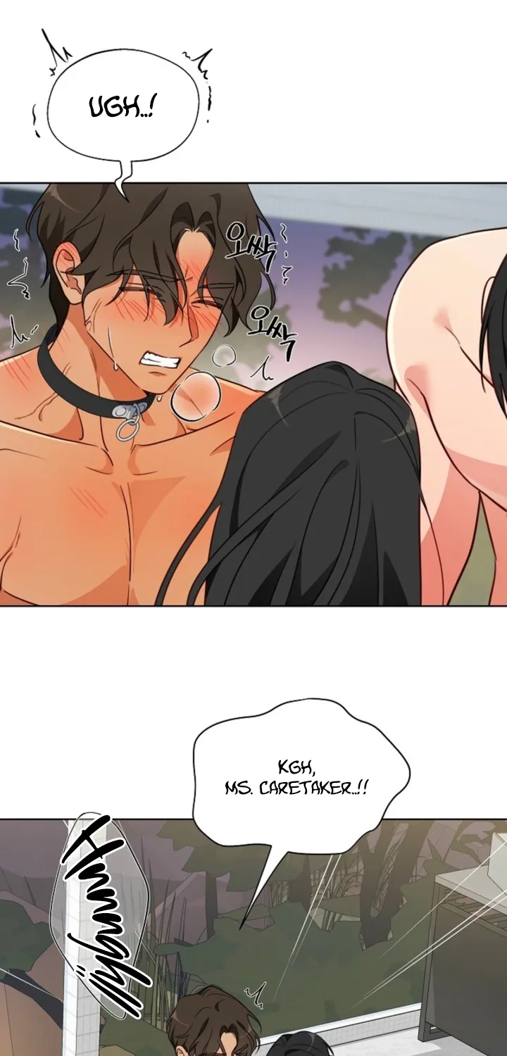 Chapter 8 - Image 17