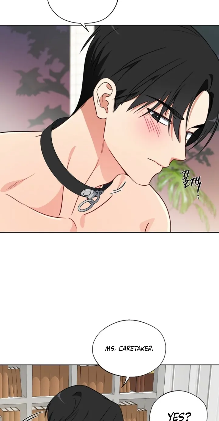 Chapter 8 - Image 20