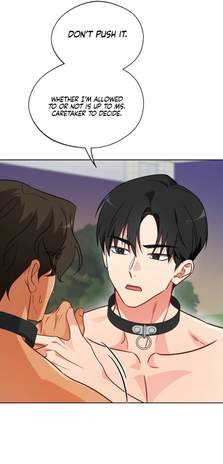 Chapter 8 - Image 25