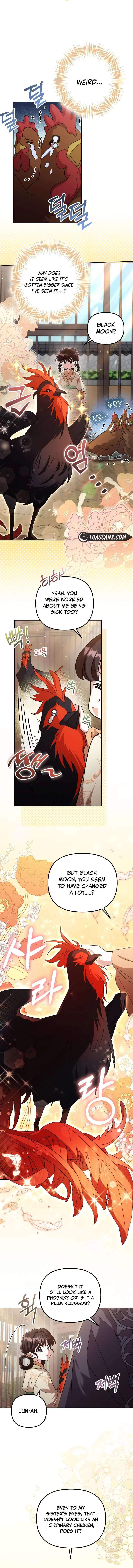 Chapter 12 - Image 2