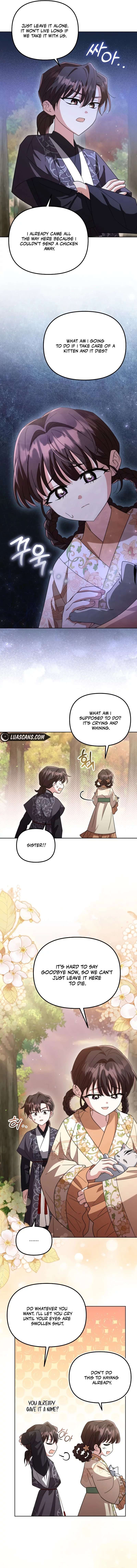 Chapter 13 - Image 4