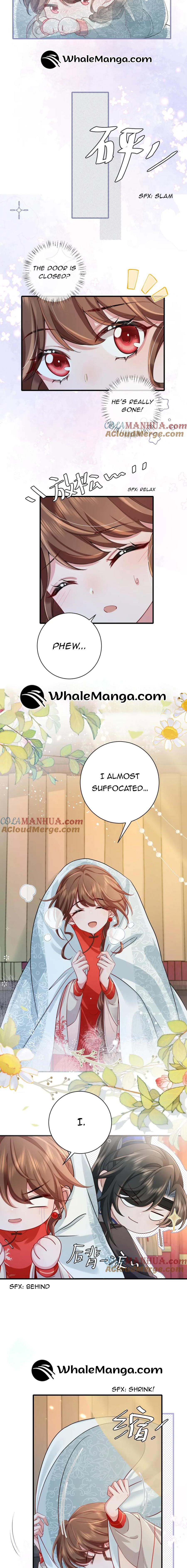 Chapter 209 - Image 6