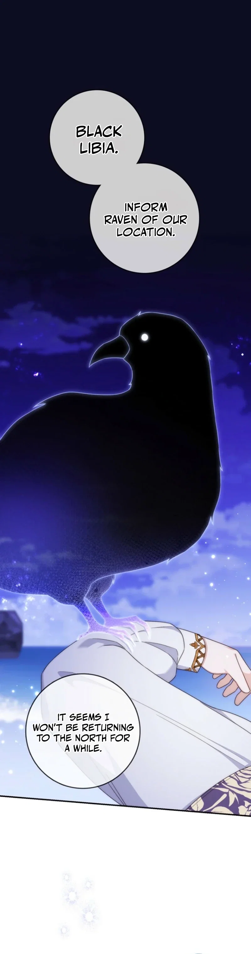 Chapter 3 - Image 16