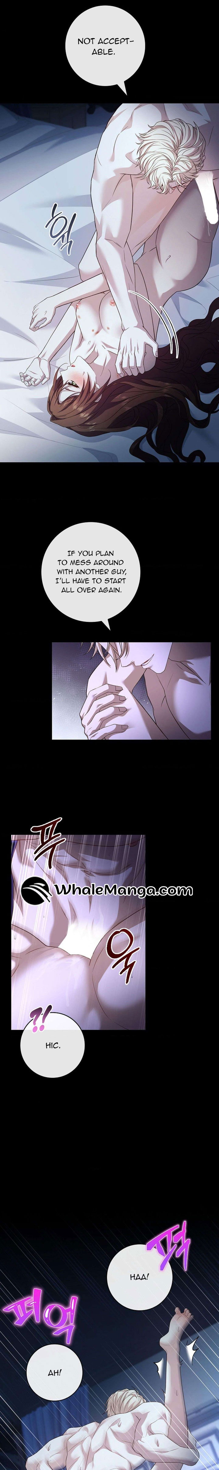 Chapter 10 - Image 10