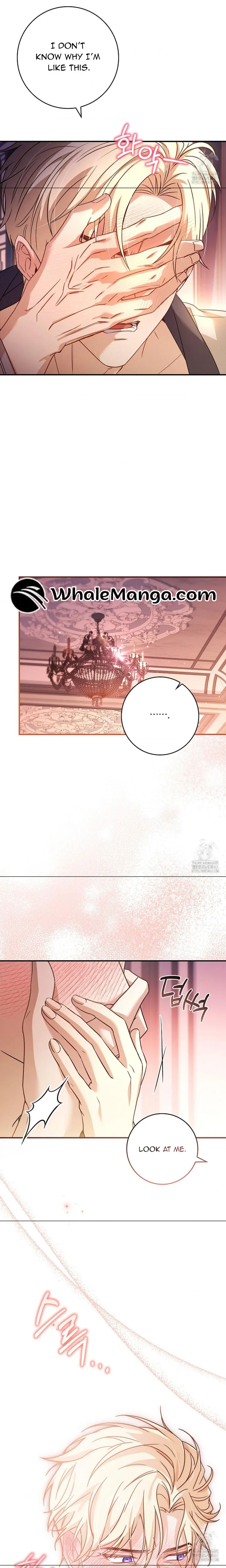 Chapter 12 - Image 11
