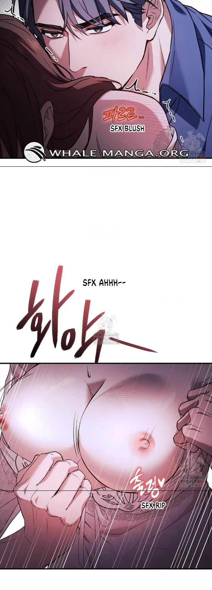 Chapter 41 - Image 11