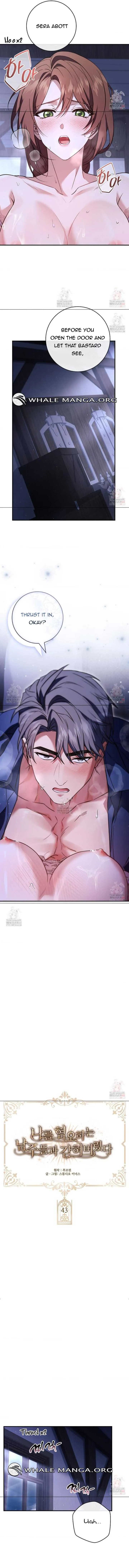 Chapter 43 - Image 7