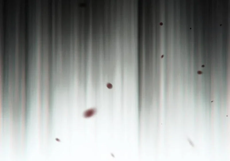 Chapter 74 - Image 134