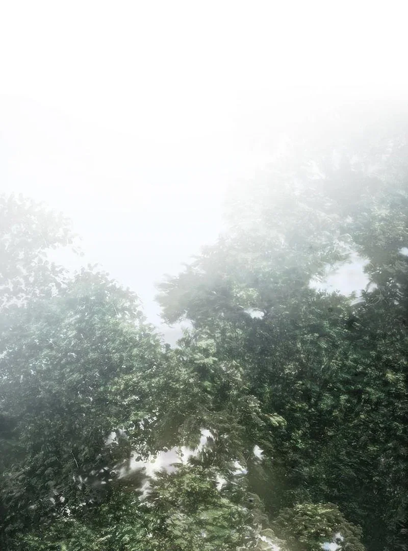 Chapter 74 - Image 84