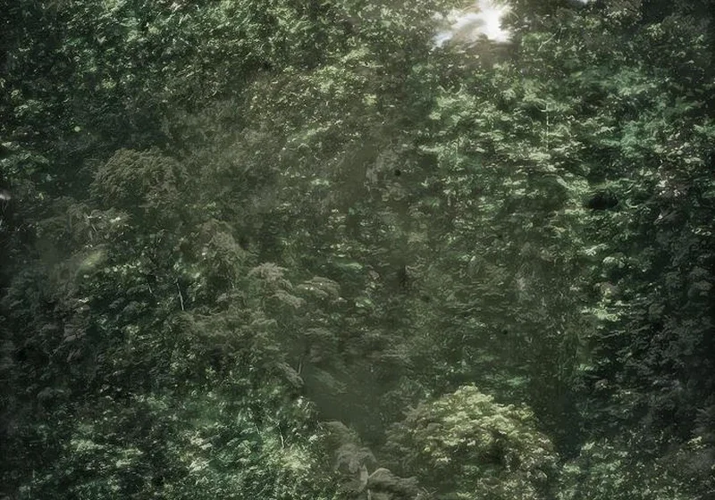 Chapter 74 - Image 85