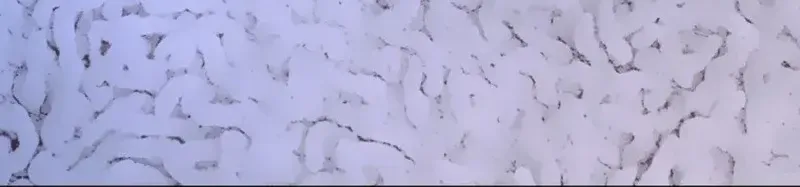 Chapter 24 - Image 80