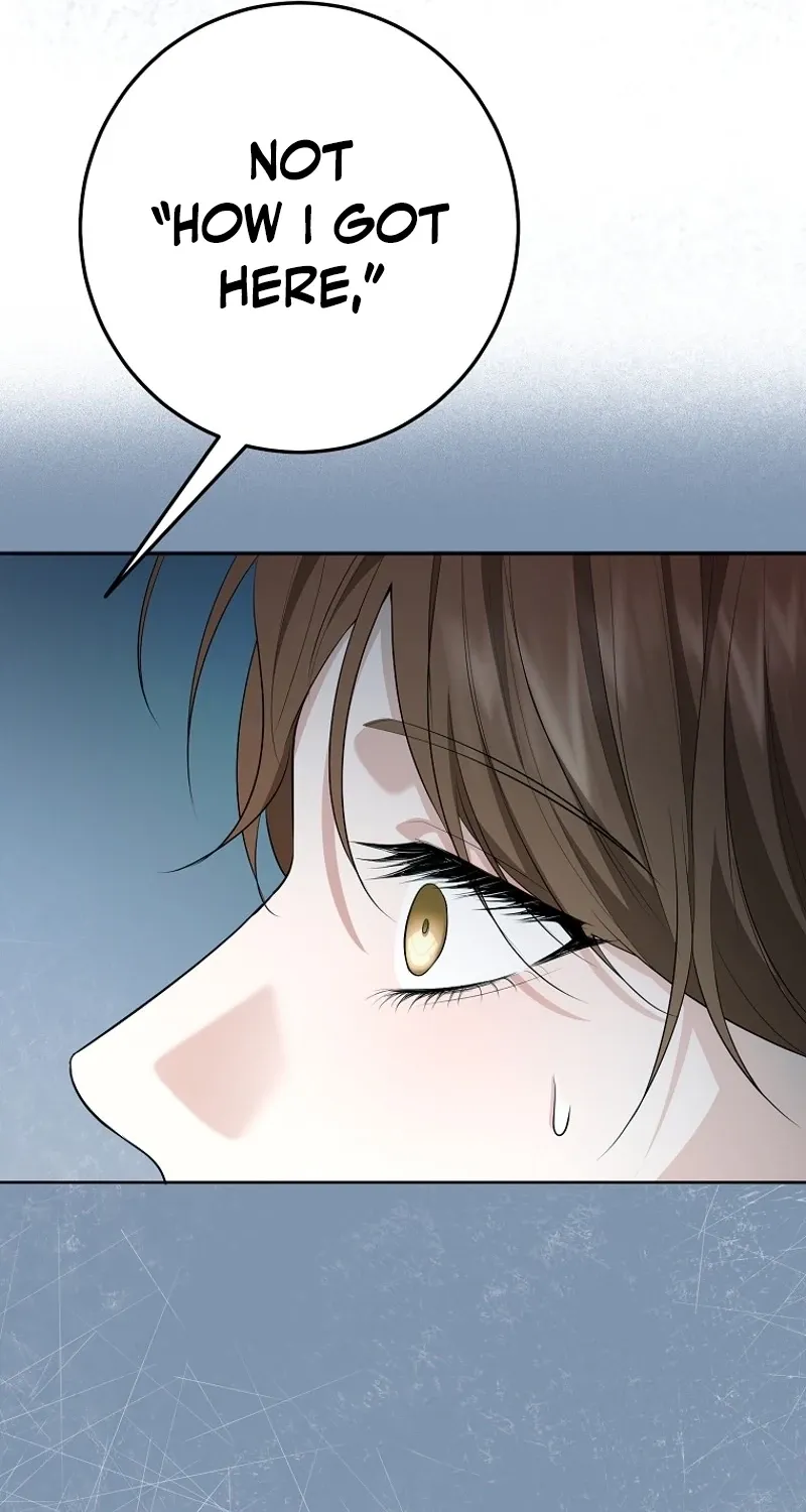 Chapter 8 - Image 21