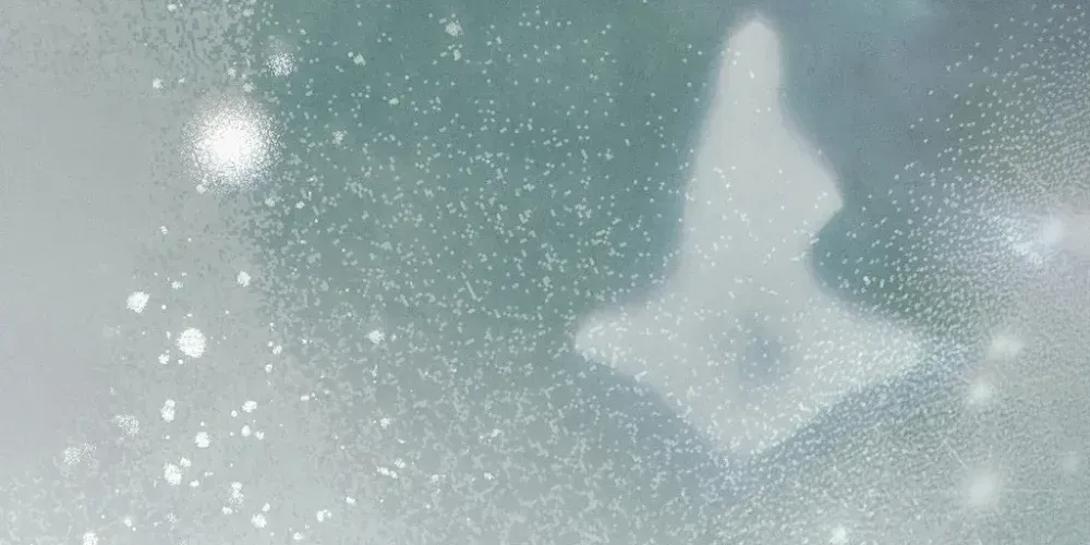 Chapter 29 - Image 25