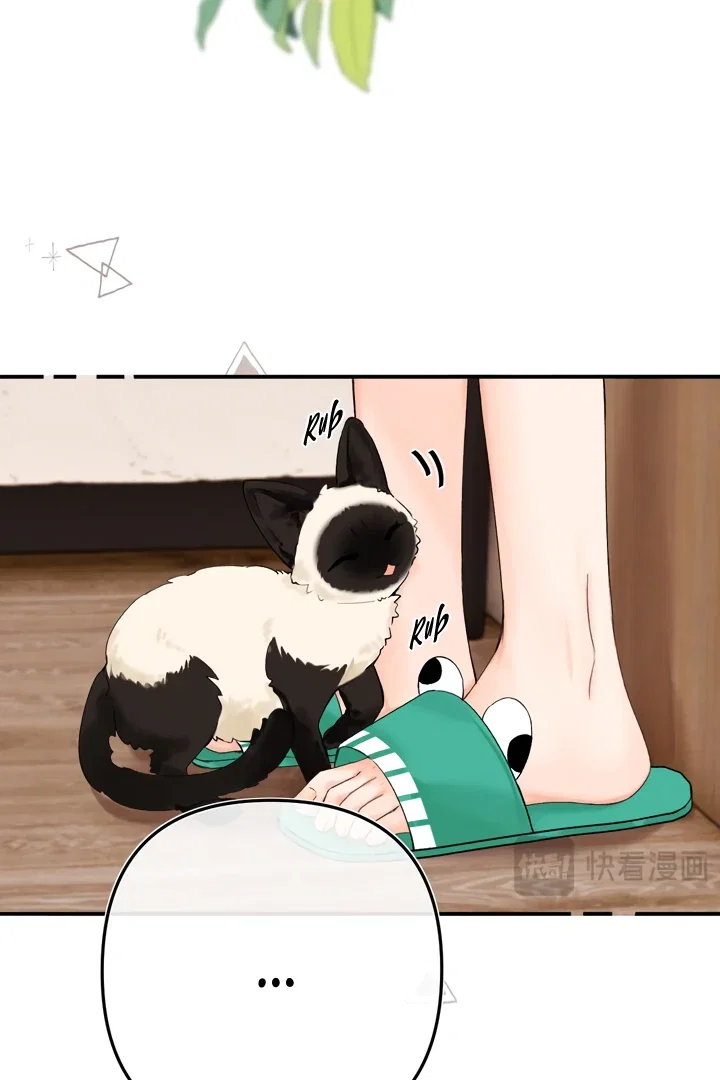 Chapter 35 - Image 12