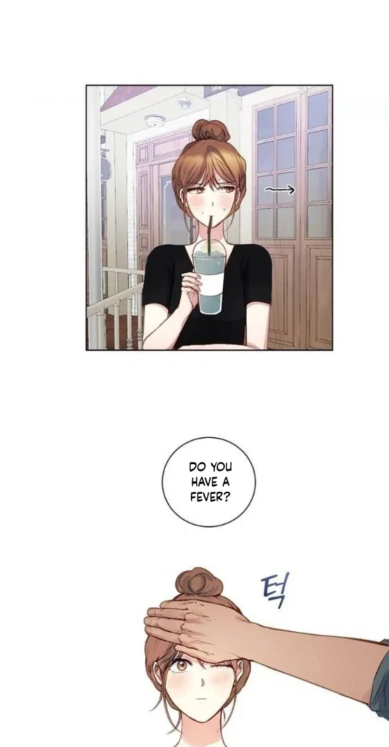 Chapter 19 - Image 46