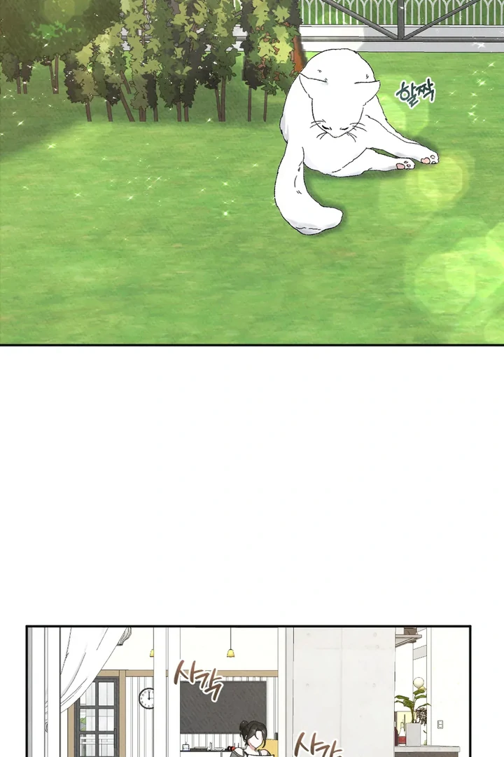 Chapter 1 - Image 4