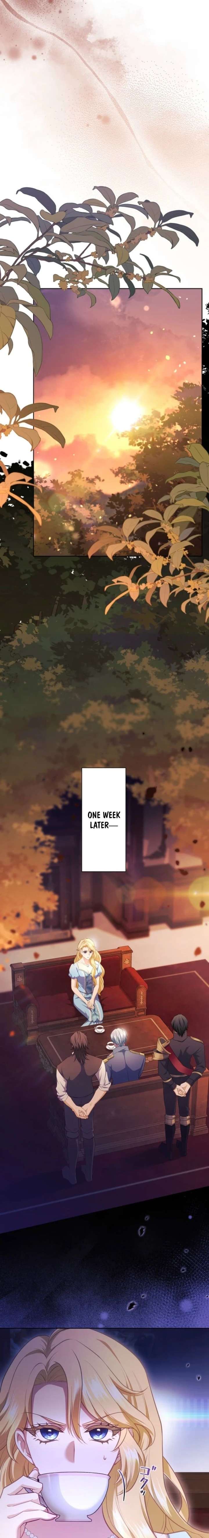 Chapter 2 - Image 19