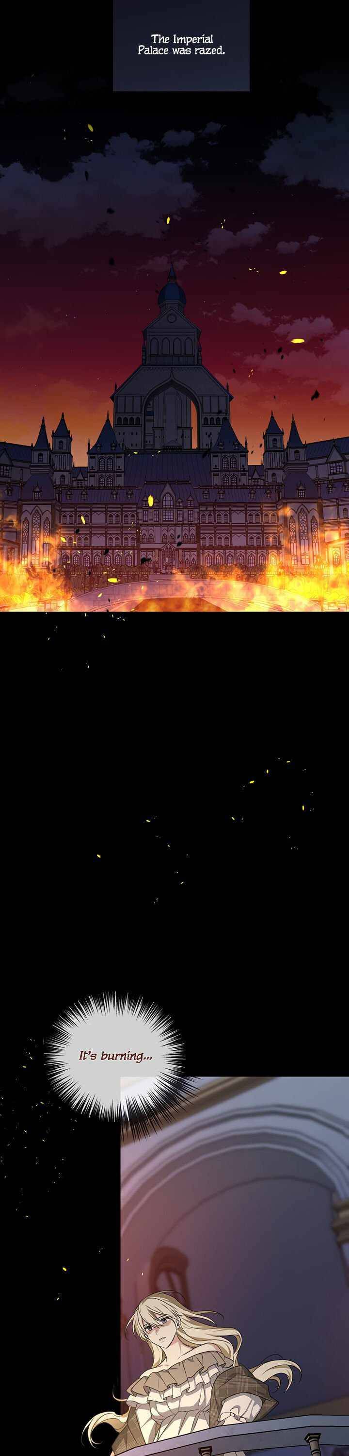 Chapter 1 - Image 19