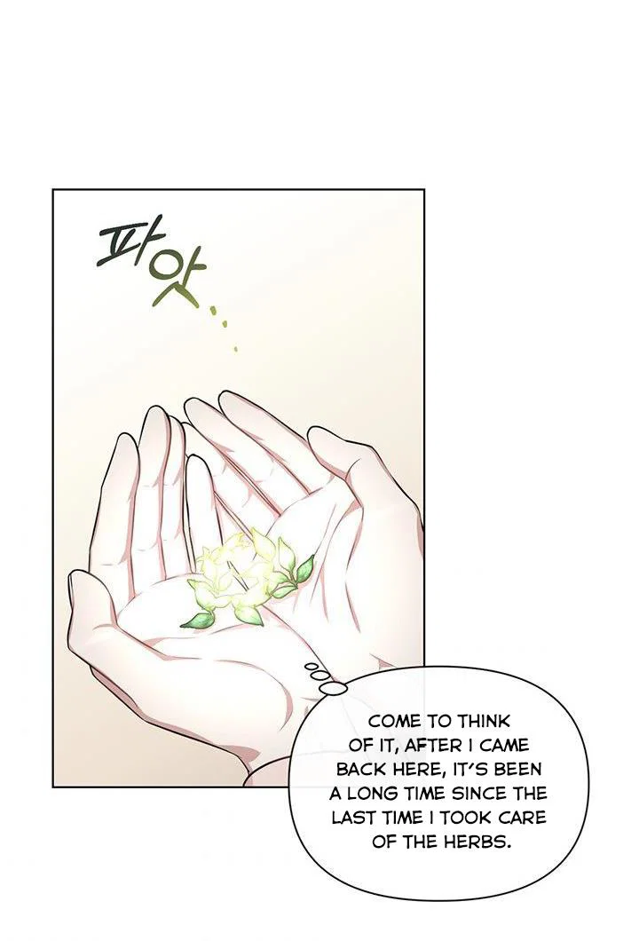 Chapter 19 - Image 4