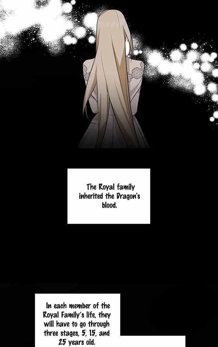 Chapter 2 - Image 14