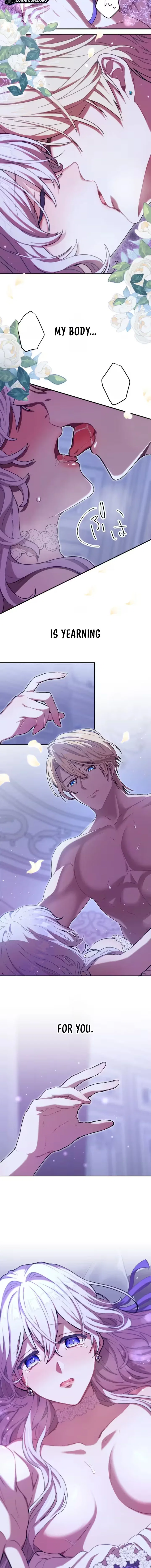 Chapter 1 - Image 16