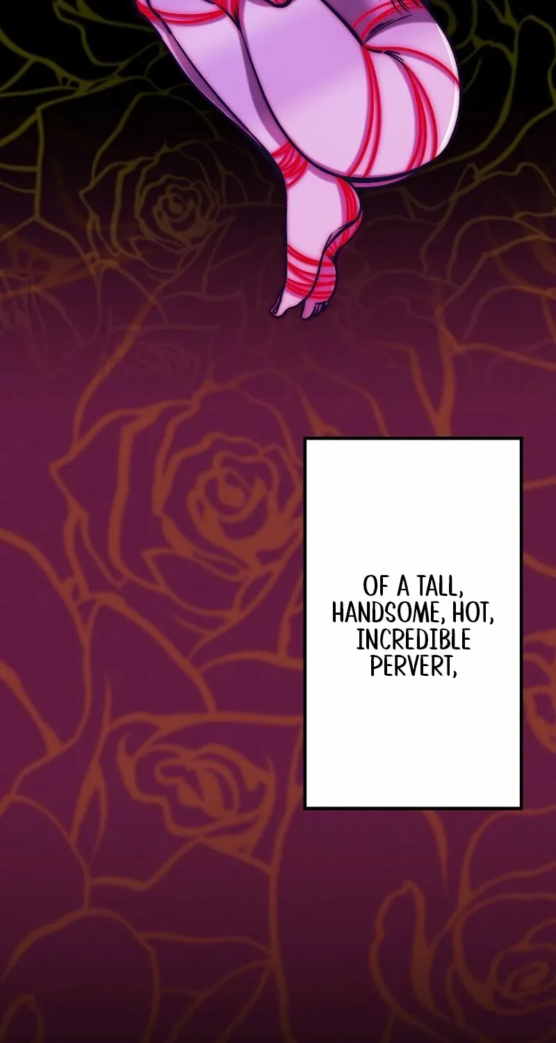 Chapter 1 - Image 37