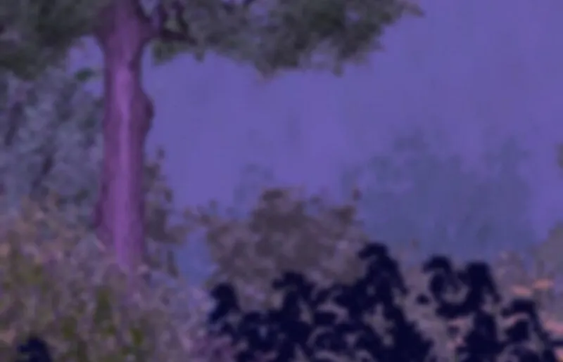 Chapter 11 - Image 65