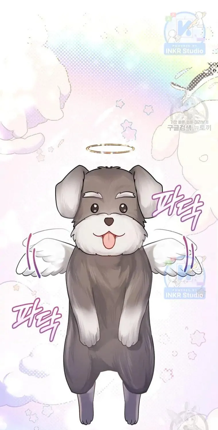 Chapter 1 - Image 19