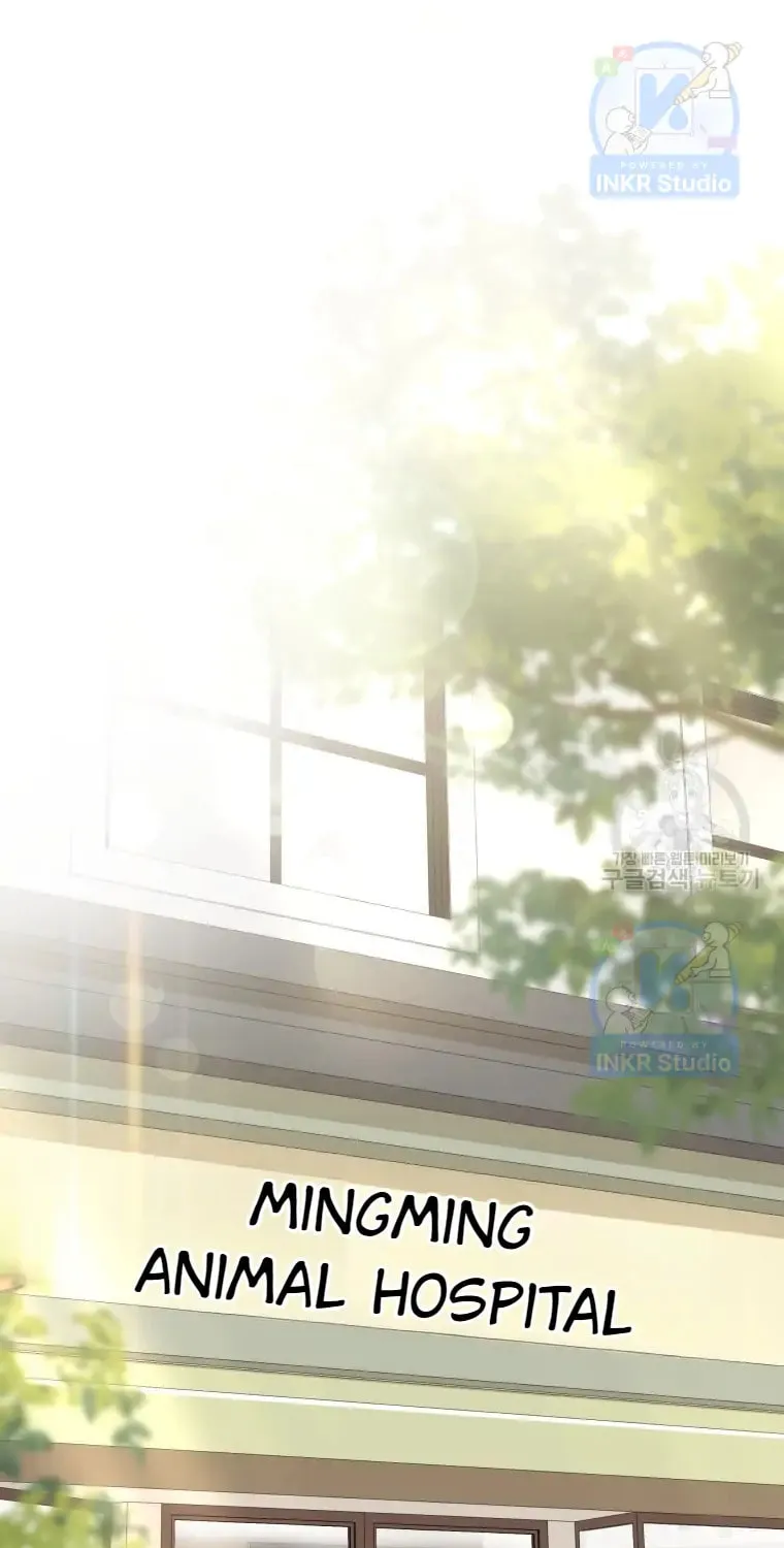 Chapter 1 - Image 41