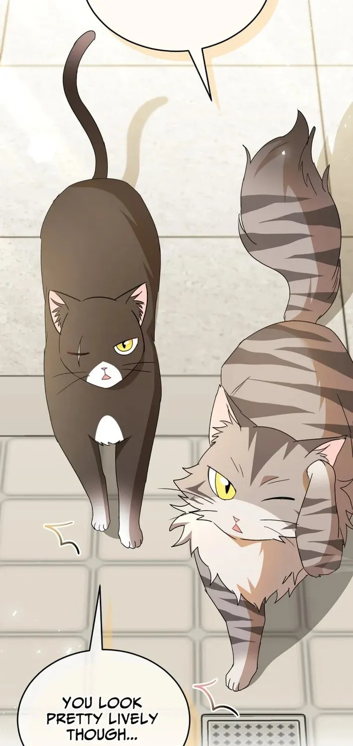 Chapter 100 - Image 31