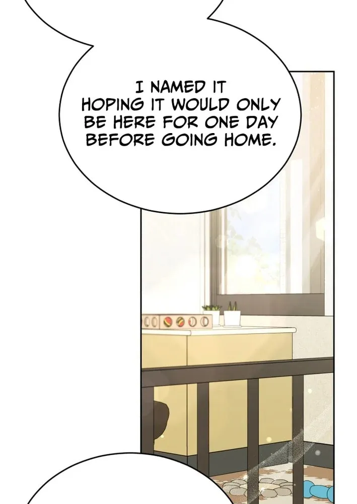 Chapter 102 - Image 56