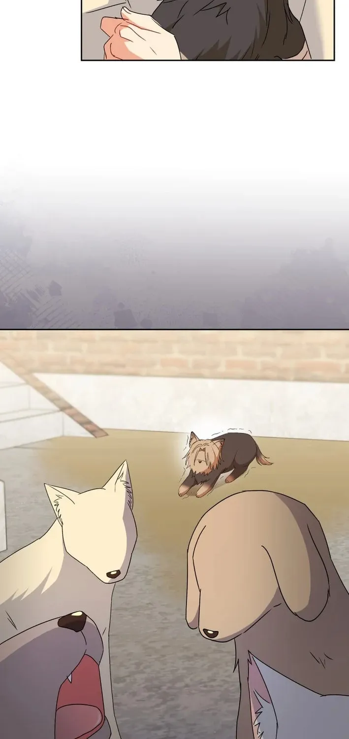 Chapter 102 - Image 72