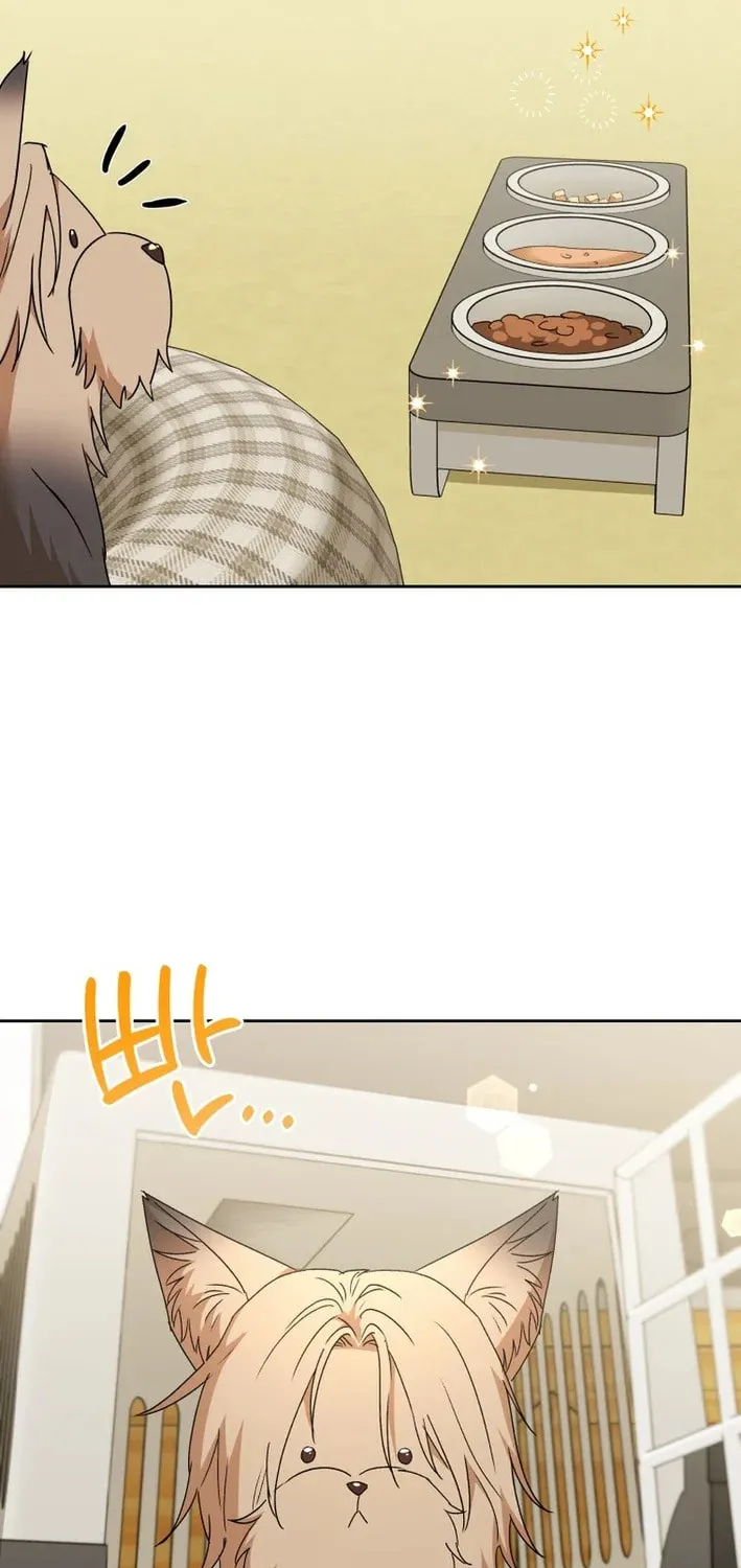 Chapter 103 - Image 19