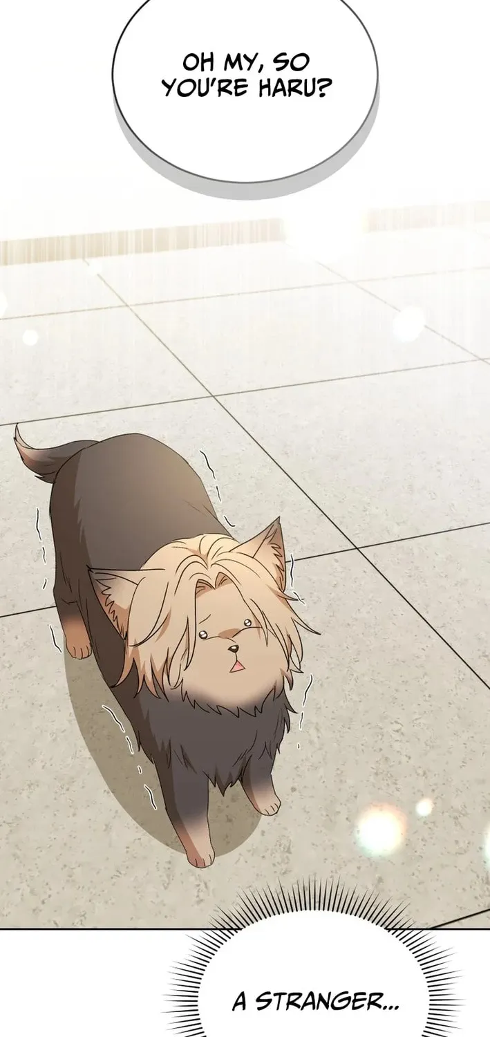 Chapter 104 - Image 2