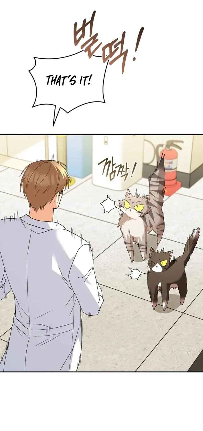 Chapter 105 - Image 39