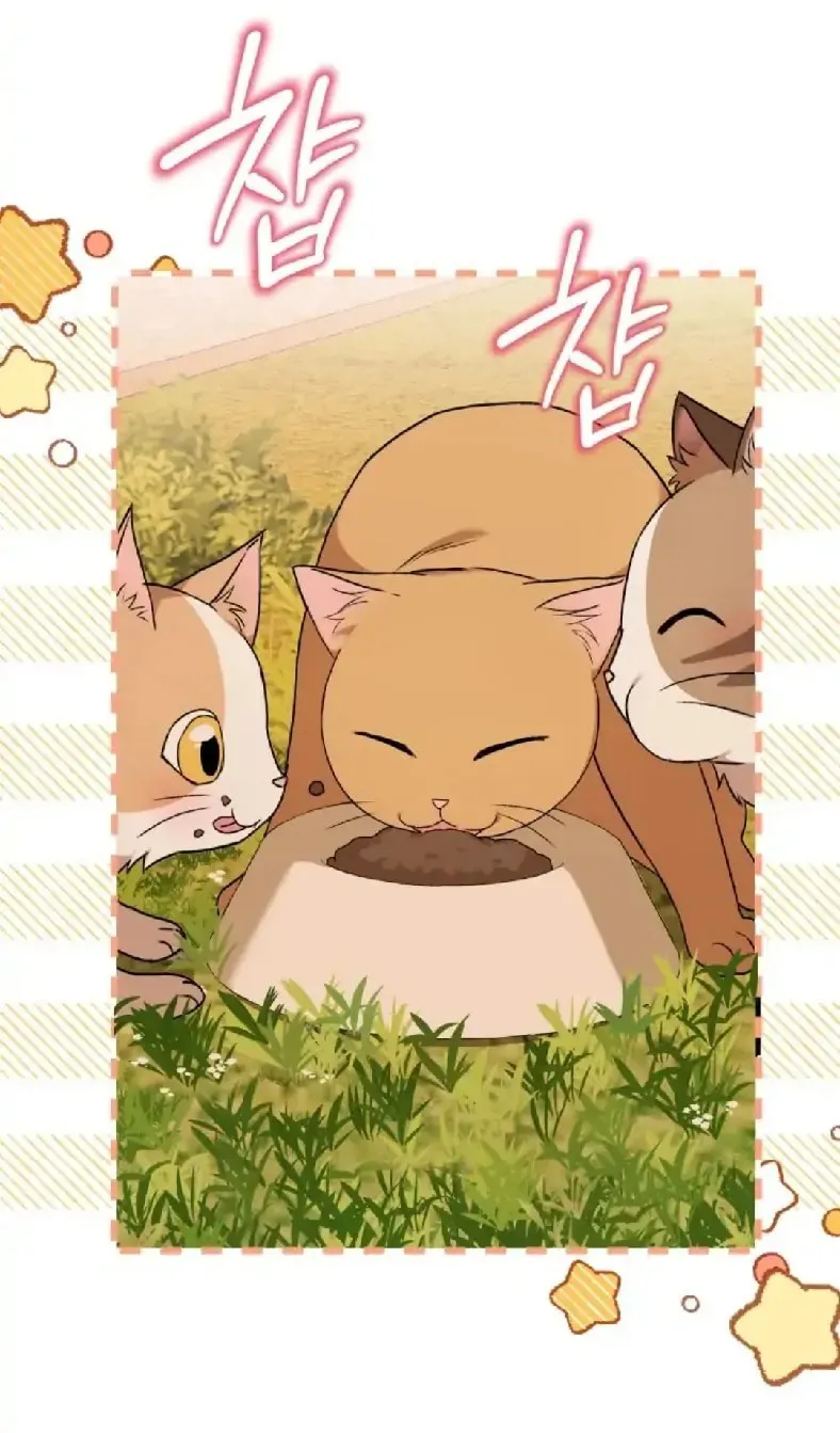 Chapter 11 - Image 58