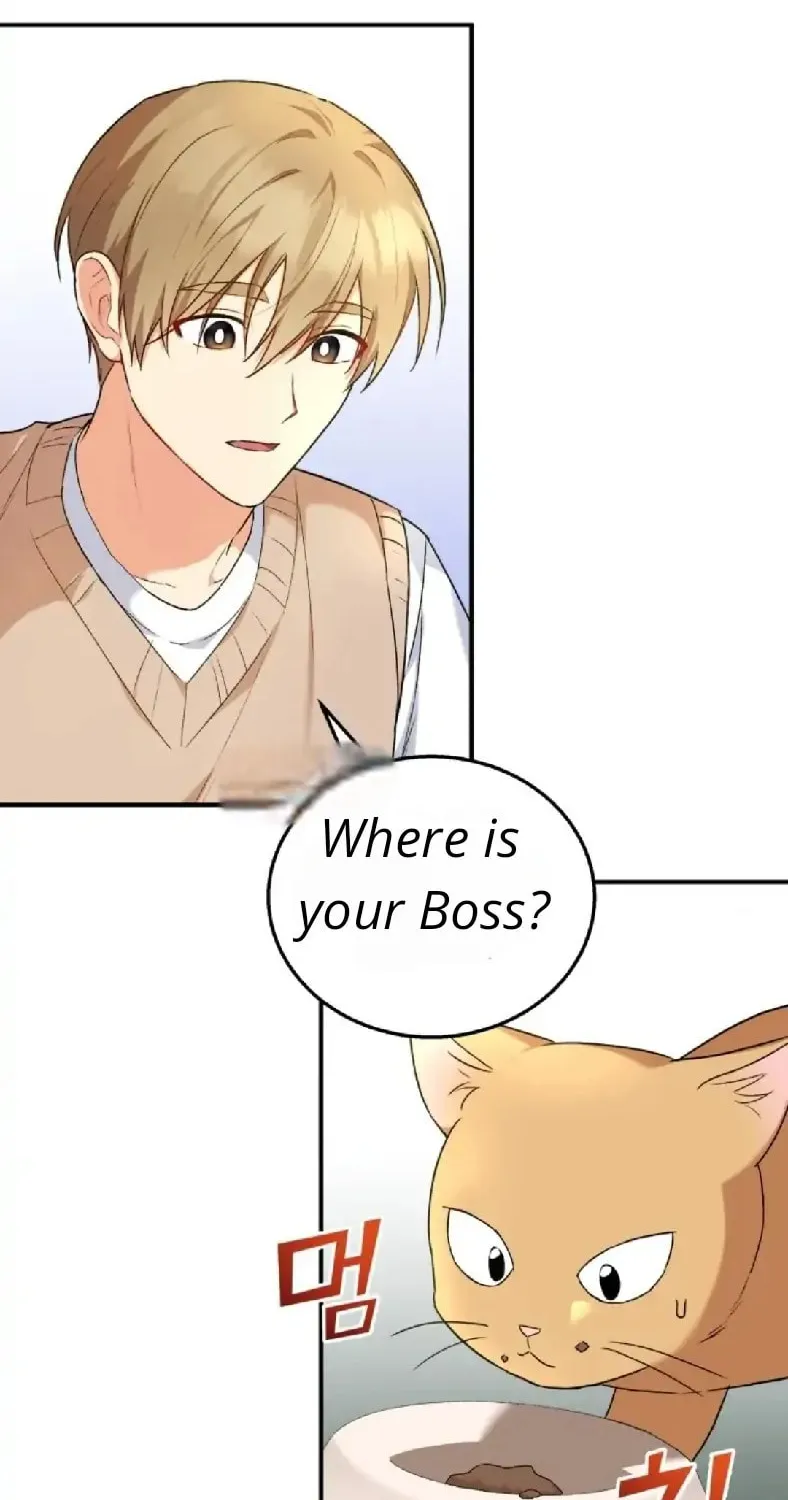 Chapter 11 - Image 60