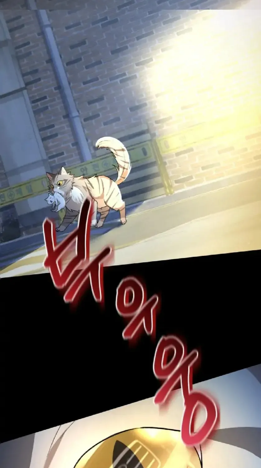 Chapter 11 - Image 69