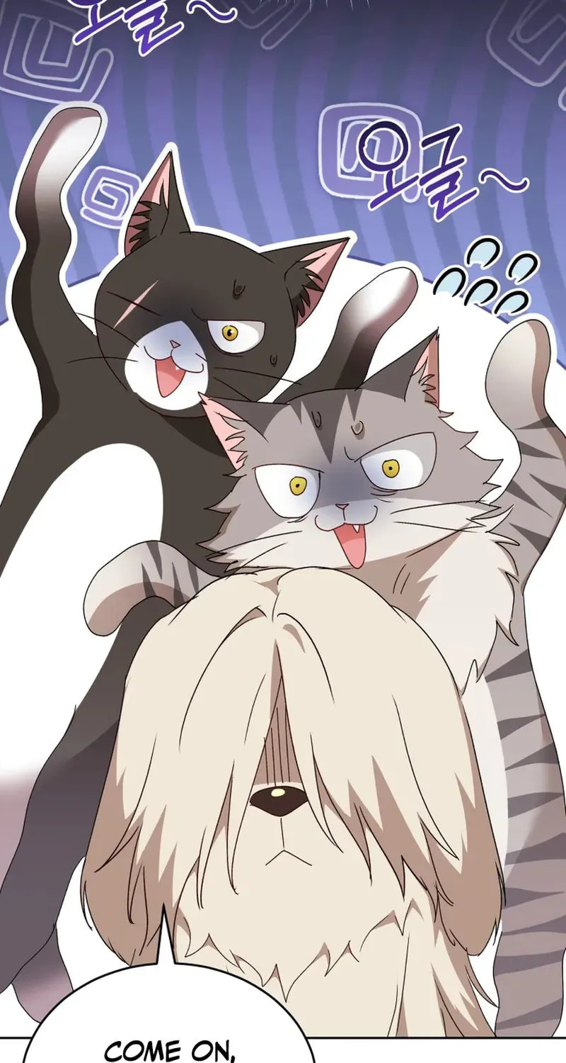 Chapter 116 - Image 17