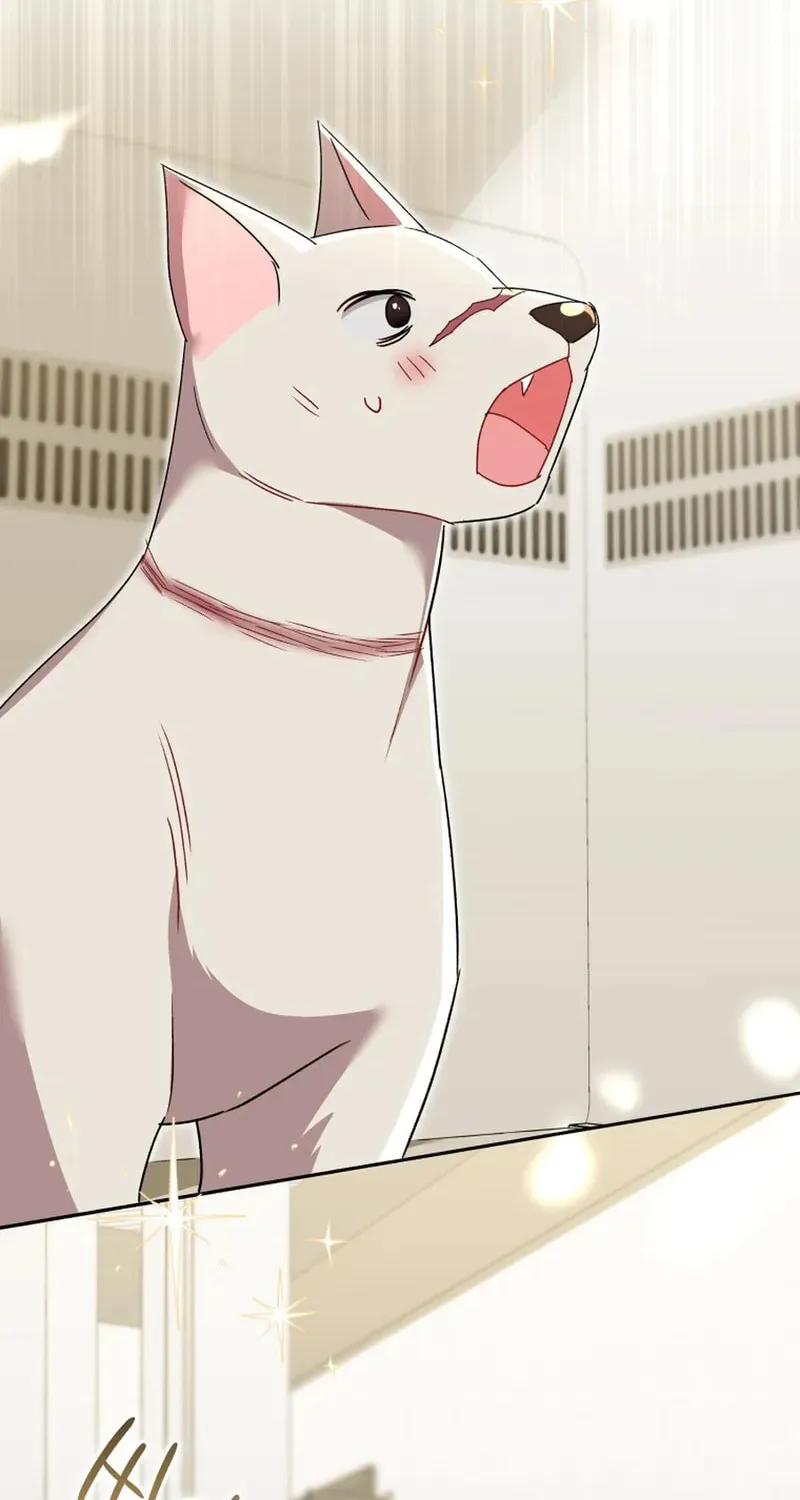 Chapter 116 - Image 57