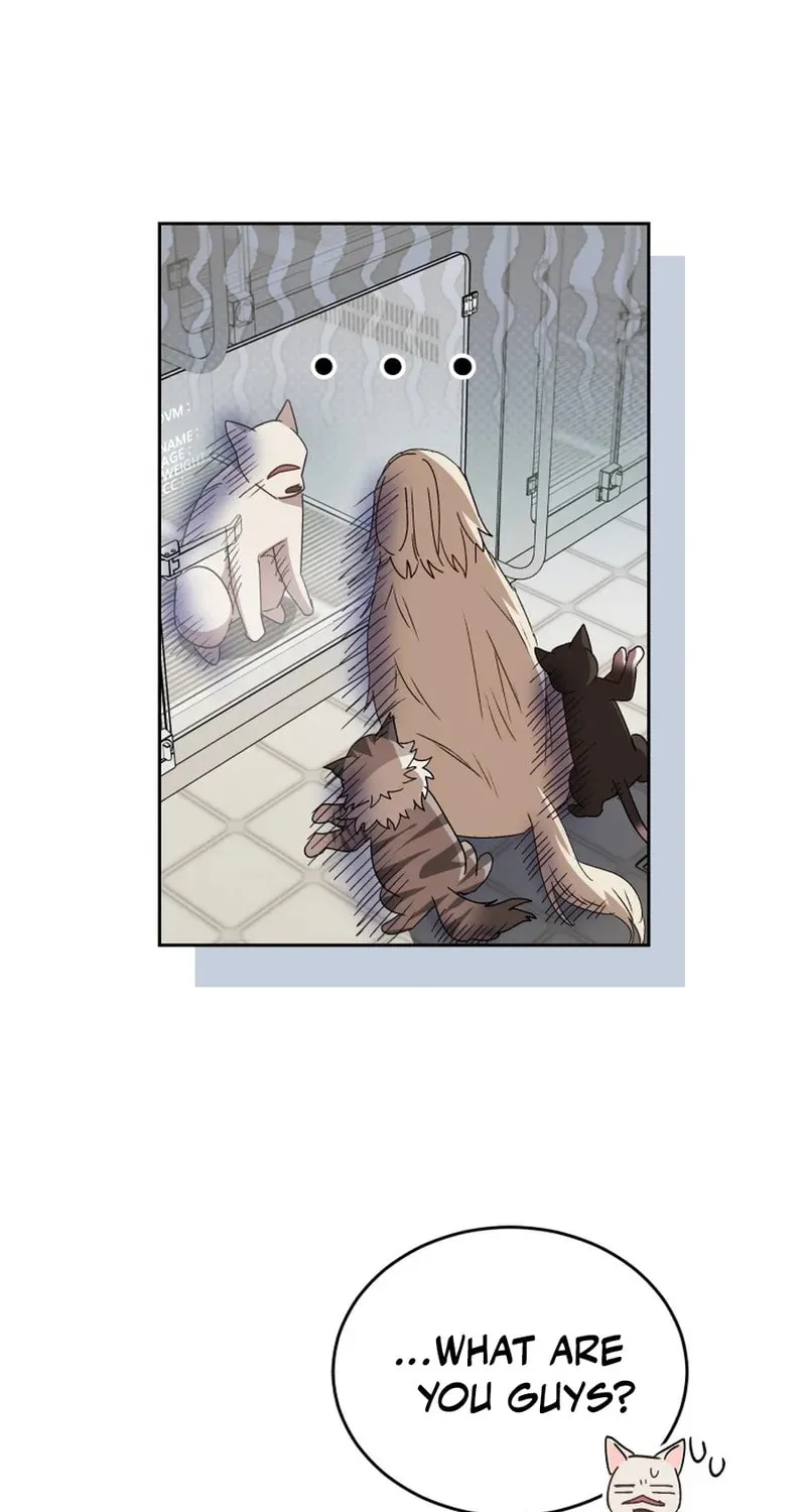 Chapter 116 - Image 7