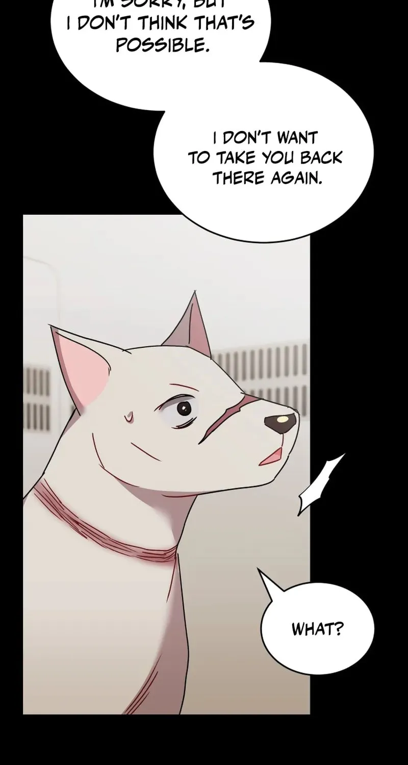 Chapter 117 - Image 14