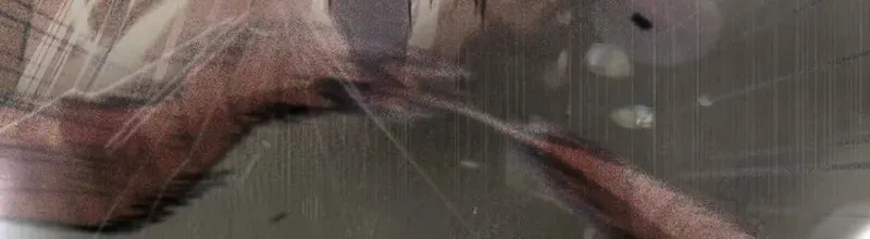 Chapter 117 - Image 40